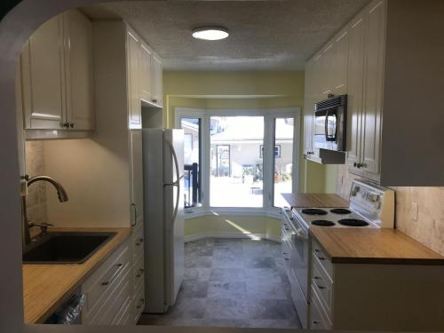 Kitchen Renovation - February 2020